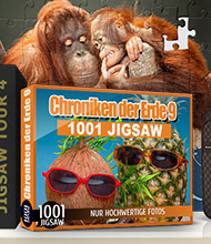 Logik-Spiel: 1001 Jigsaw: Chroniken der Erde 9