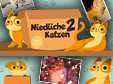 1001 Puzzles: Niedliche Katzen 2