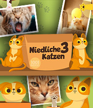 Logik-Spiel: 1001 Puzzles: Niedliche Katzen 3