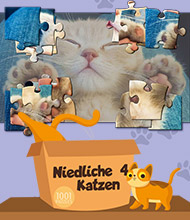 Logik-Spiel: 1001 Puzzles: Niedliche Katzen 4