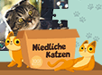 1001-puzzles-niedliche-katzen