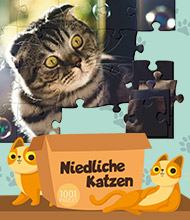 Logik-Spiel: 1001 Puzzles: Niedliche Katzen