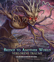 Wimmelbild-Spiel: Bridge to Another World: Verlorene Träume Sammleredition