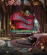 Wimmelbild-Spiel: Connected Hearts: Stunde der Hexe Sammleredition