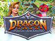 Jetzt das Klick-Management-Spiel Dragon Tale: Magic Awakens kostenlos herunterladen und spielen