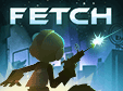 Fetch