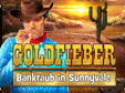 goldfieber-bankraub-in-sunnyvale