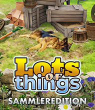 Wimmelbild-Spiel: Lots of Things Sammleredition