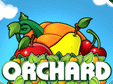 Orchard