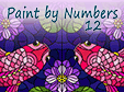 Paint By Numbers 12