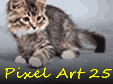 Pixel Art 25