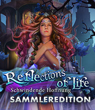 Wimmelbild-Spiel: Reflections of Life: Schwindende Hoffnung Sammleredition