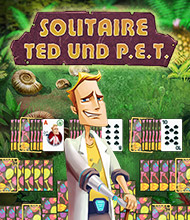 Logik-Spiel: Solitaire: Ted und P.E.T.