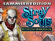 Stray Souls: Gestohlene Erinnerungen Sammleredition