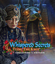 Wimmelbild-Spiel: Whispered Secrets: Horror auf Samtpfoten Sammleredition