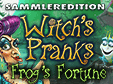 witchs-pranks-frogs-fortune-sammleredition