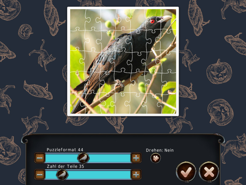 1001-puzzles-der-schwarze-rabe - Screenshot No. 1