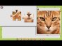 Logik-Spiel: 1001 Puzzles: Niedliche Katzen 3